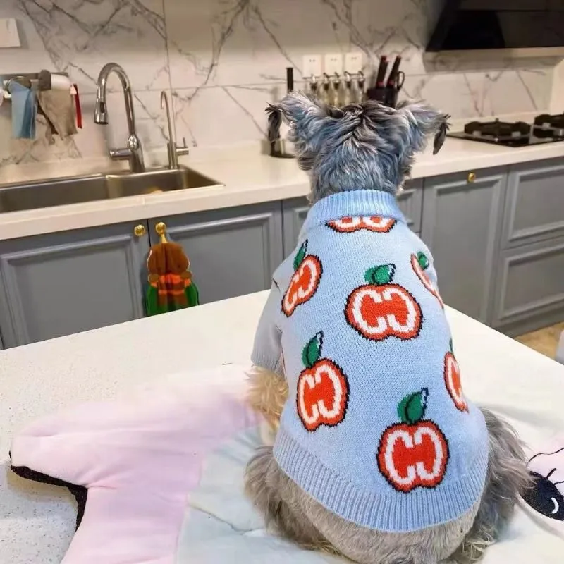 Letter Sweater Pet Dog Clothes - Winter Clothing Boys review and price