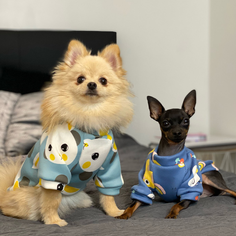 Xs Dog Clothes for Small Dogs  - Winter Clothing Boys review and price